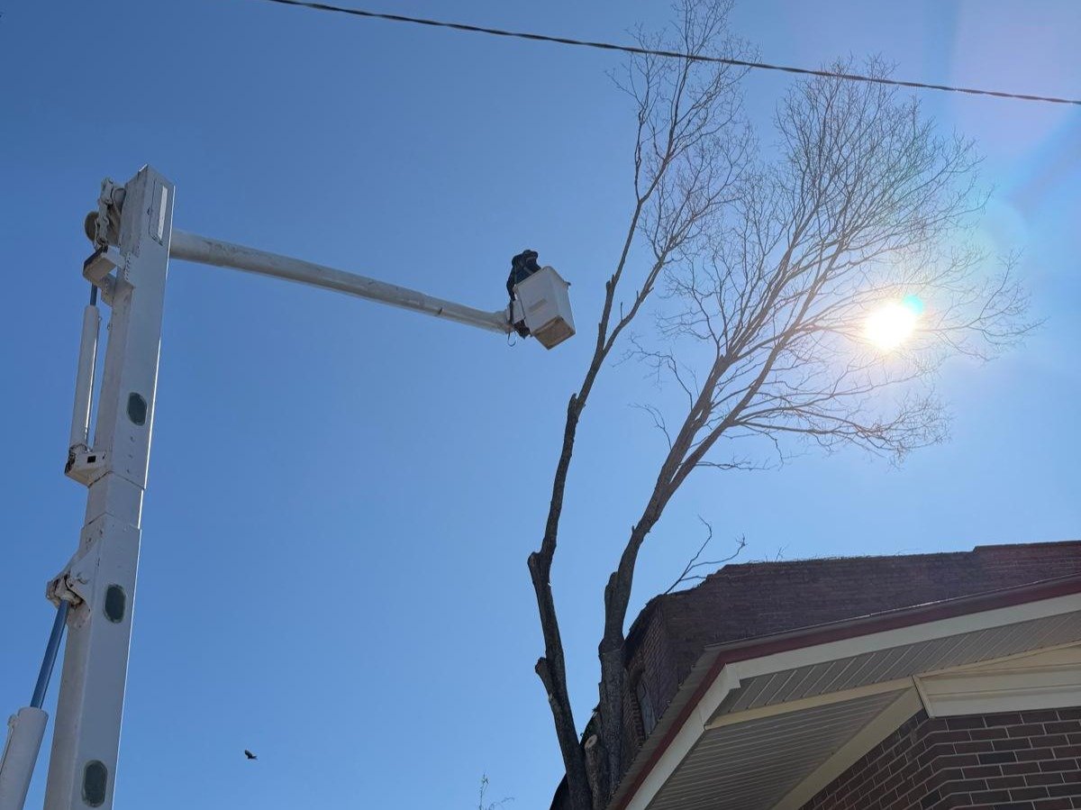 El Costeño Tree Service LLC